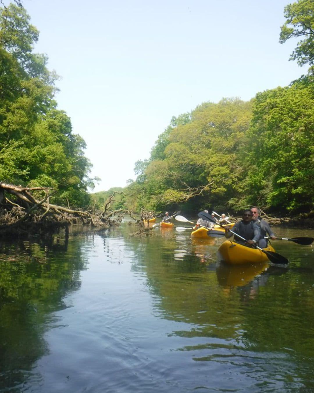 481PORTRAIT-Frenchman'sCreek-KoruKayaking.jpg