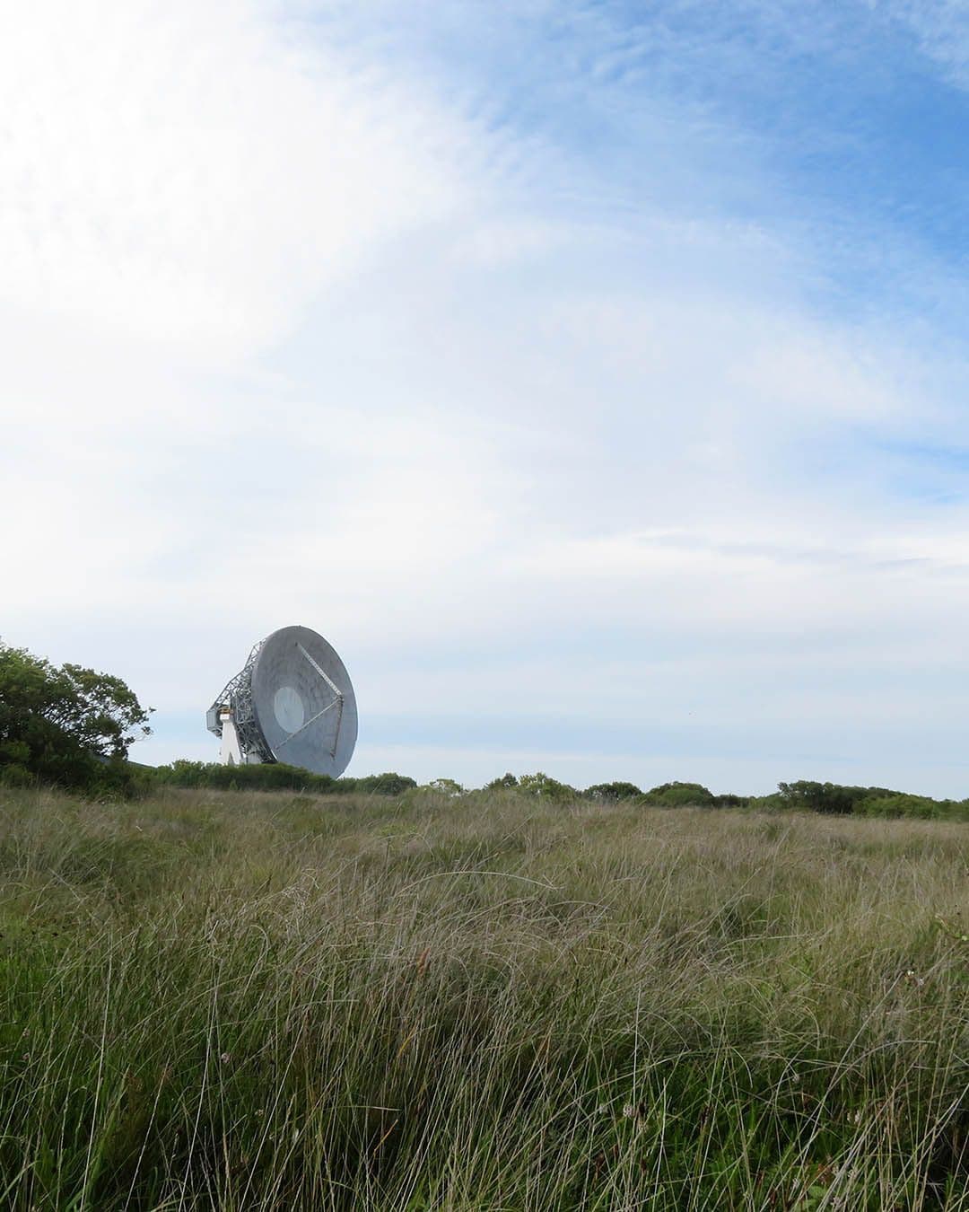 481PORTRAIT-Goonhilly-MarkCamp.jpg