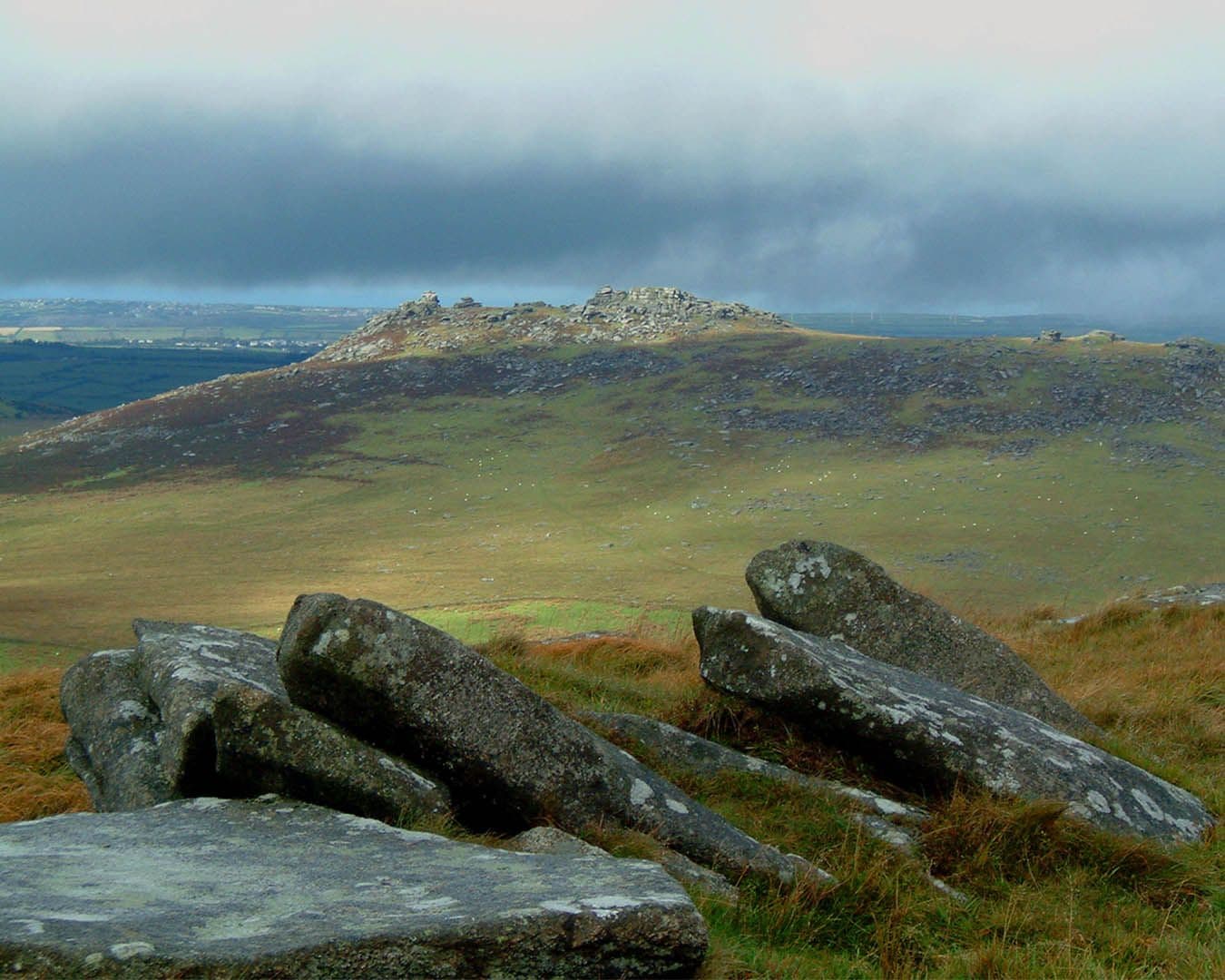 481-RoughTor-BodminMoor-MarkCampjpg.jpg